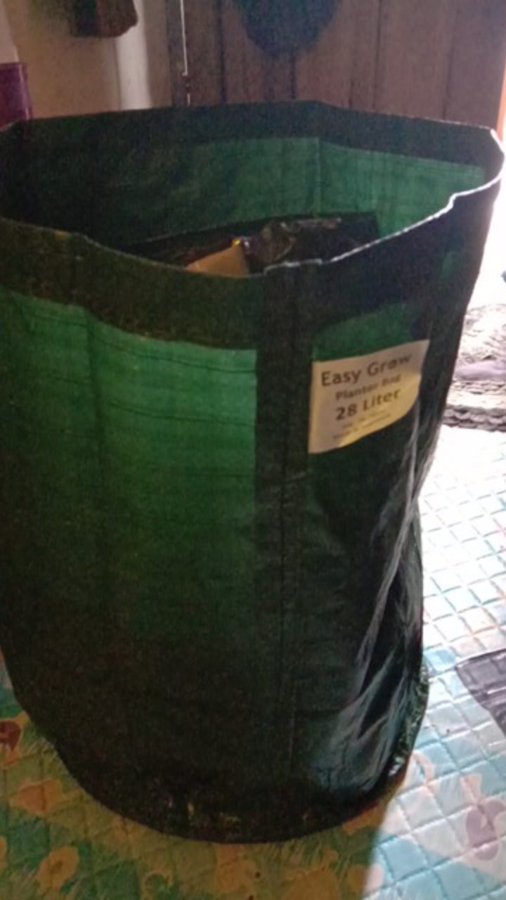 Planter Bag 28 Liter Hijau Easy Grow