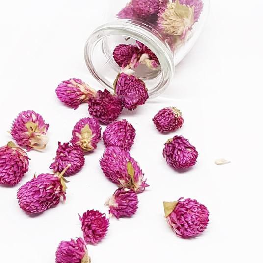 

Termurah!! (pvk-288) 10gr Globe Amaranth Tea / Gomphrena Globosa Tea / Teh Bunga Ungu Globe Amarant