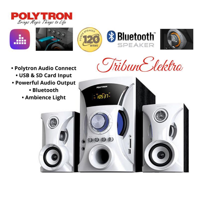 Speaker Polytron PMA 9505