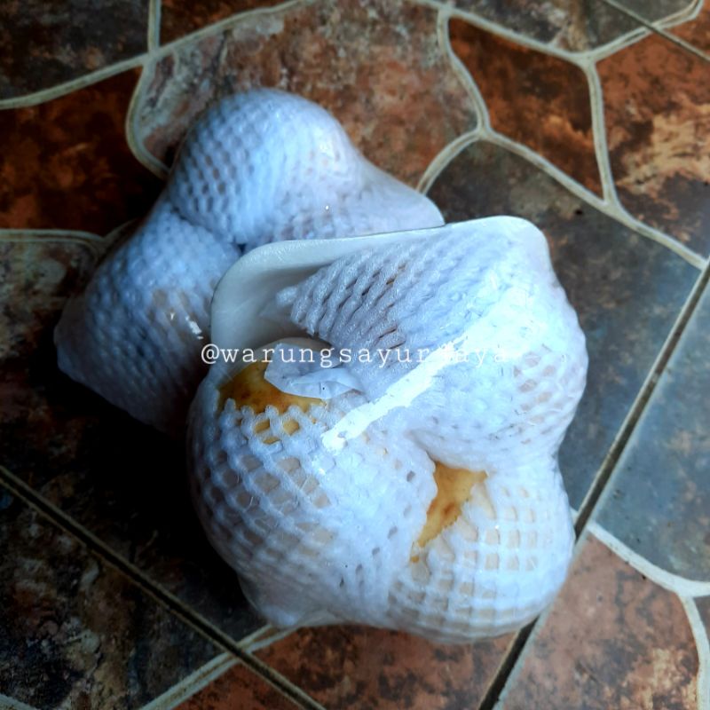 

Buah Pir / bungkus
