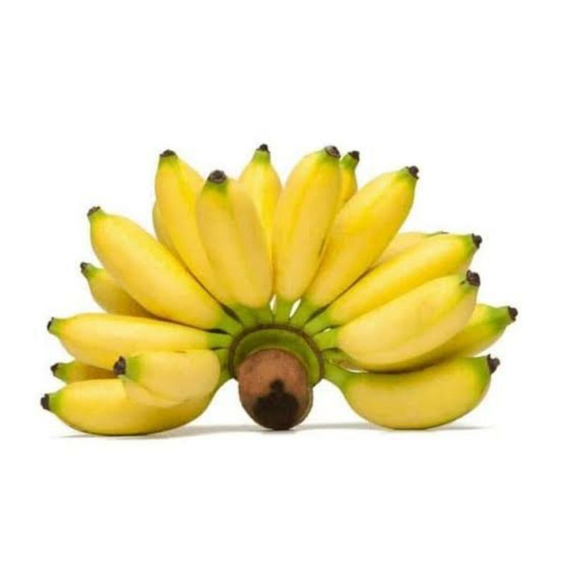 

PISANG LAMPUNG/sisir