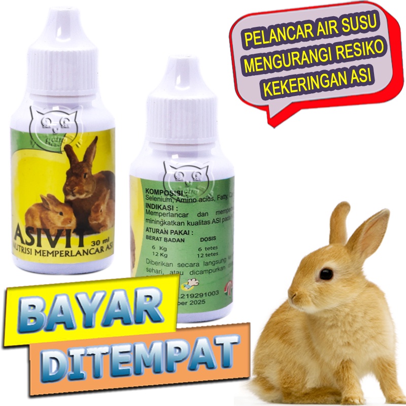 Asivit Vitamin Menyusui Kelinci Pelancar Air Susu Rabbit