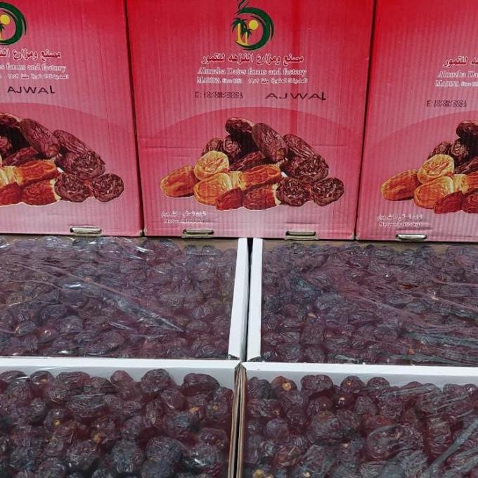 

KURMA AJWA ALNUZHA JUMBO ORGANIK 5KG DFDFG3545