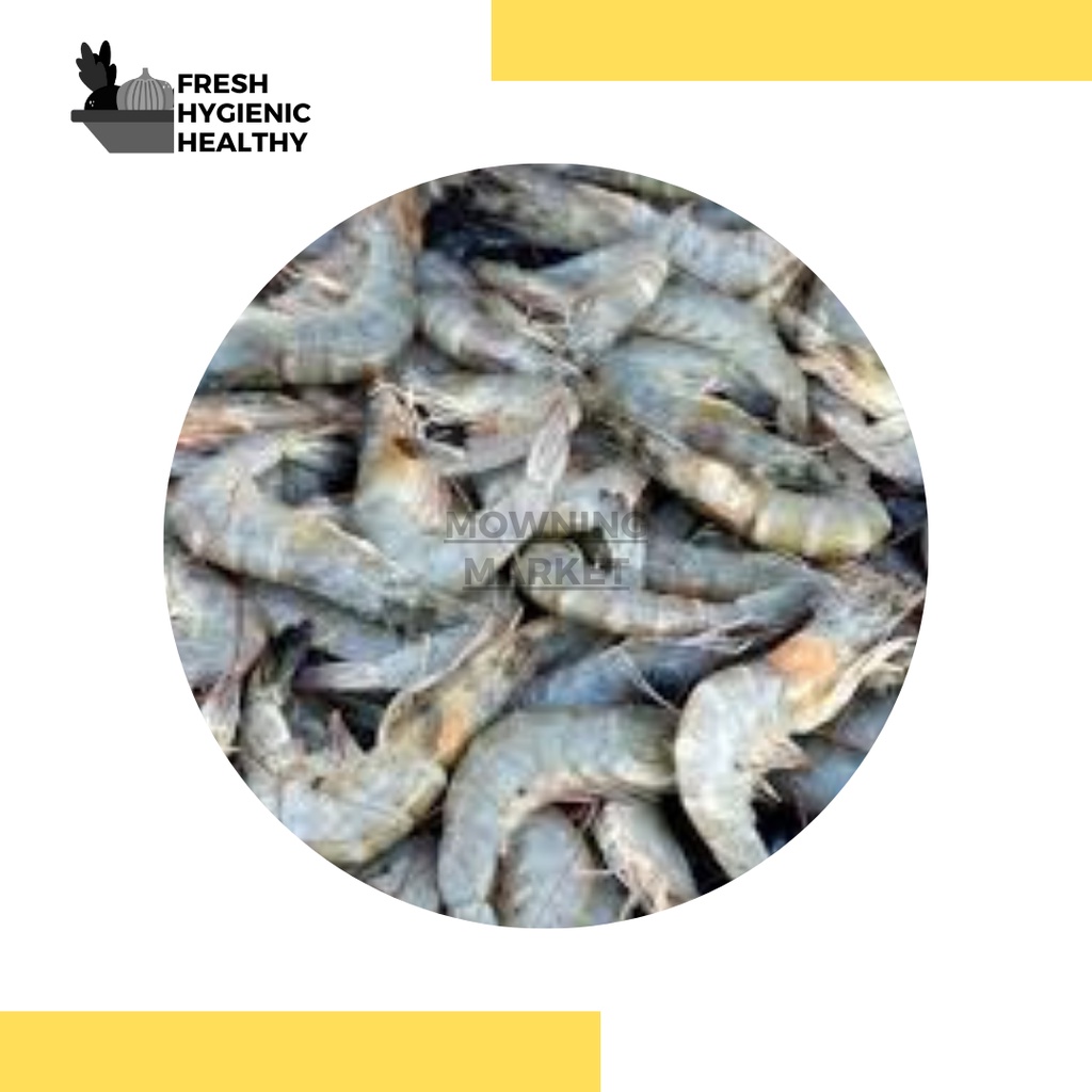 

UDANG
