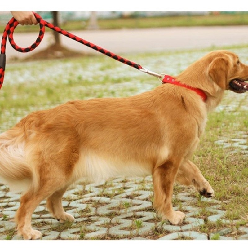 ★〓YUFeiPet〓★ Dog Leash Pet Dog Walking Rope Medium and Small Dog Collar Vest Style Puppy Dog Chain Three-piece Suit