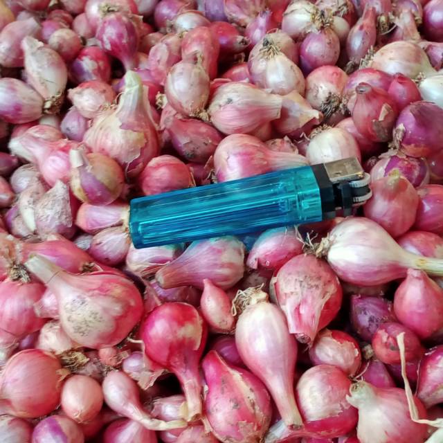 

BAWANG MERAH LOKAL NGANJUK 500 gr