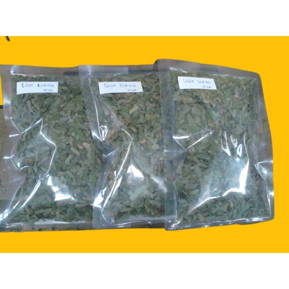 Daun Saga Rambat Kering