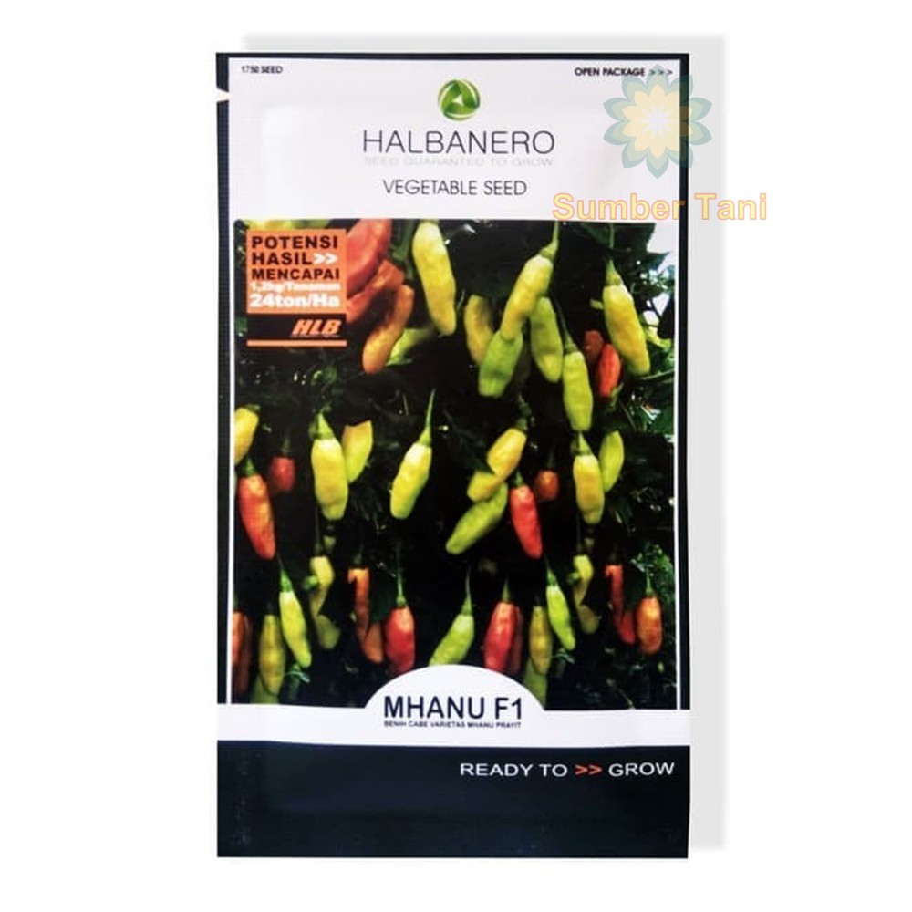 Benih Cabai Mhanu Prayit MHANU F1 Varietas Rawit