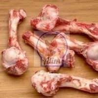 

TULANG PAHA SAPI