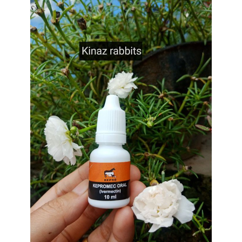 Kepromec oral kucing dan kelinci scabies