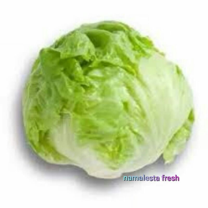 

Lettuce - namafresh
