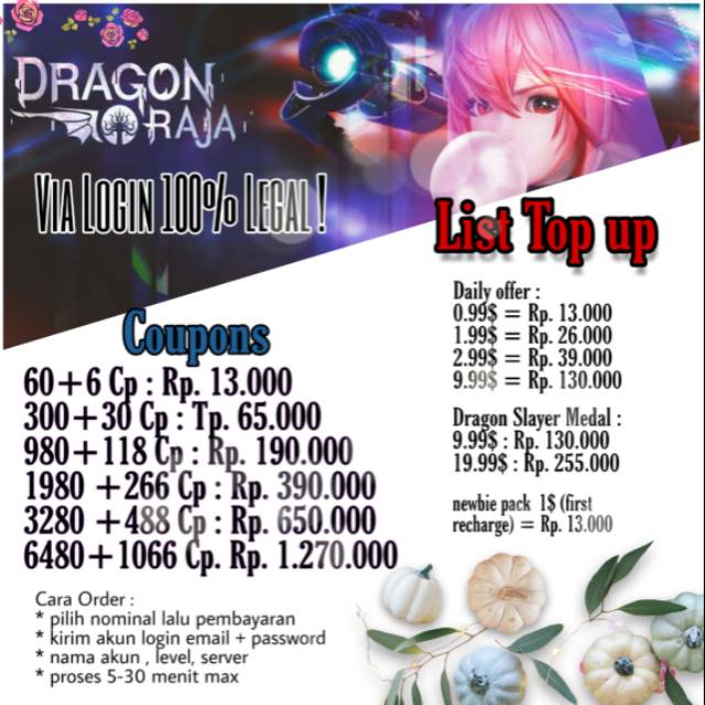 Dragon Raja coupons / kupon global | Shopee Indonesia