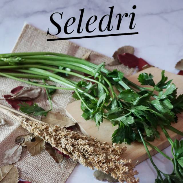 

Seledri lokal