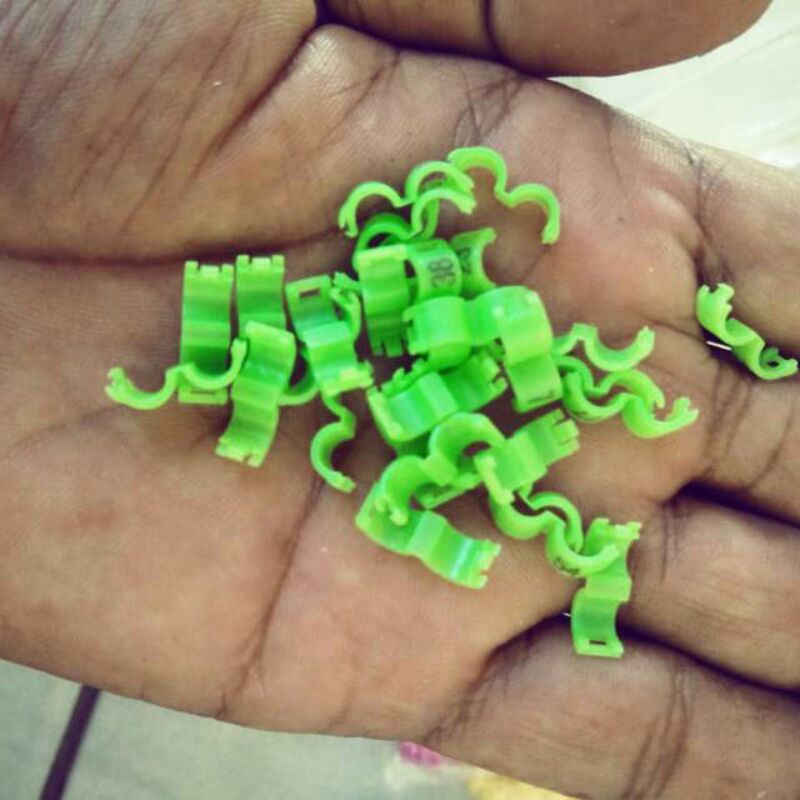 RING KLIP/RING BURUNG DEWASA/RING KENARI. LB. MURAI. CUCAK HIJAU.PERKUTUT.MURAI