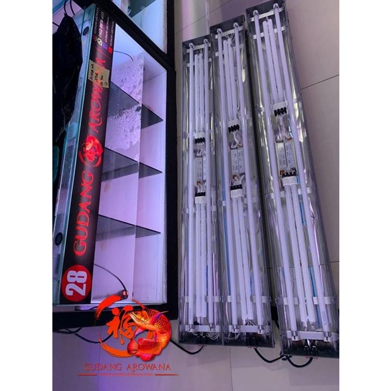 LAMPU TANNING ARWANA 120CM (2 pll philips kuning + 2 aquazonic biru)
