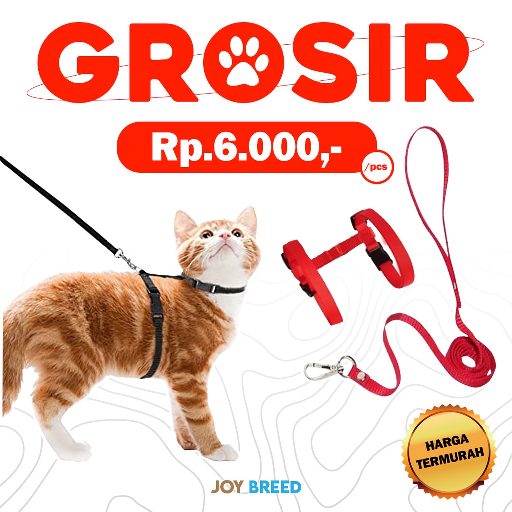 GROSIR TALI TUNTUN KUCING HARNESS KUCING MODEL H PANJANG TALI 90CM