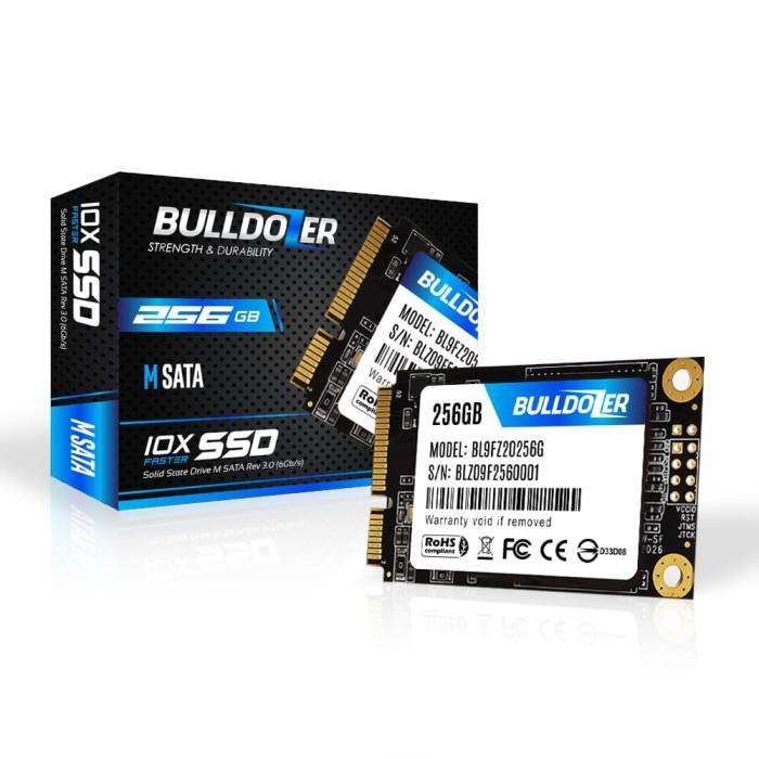 Ssd | Ssd Msata / M Sata 256Gb Bulldozer