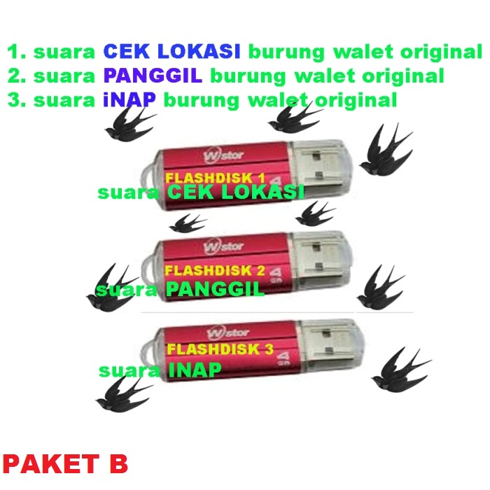 SUARA BURUNG WALET ORIGINAL 5 SUARA 5 FLASHDISK 5SUARA masing masing 4gb