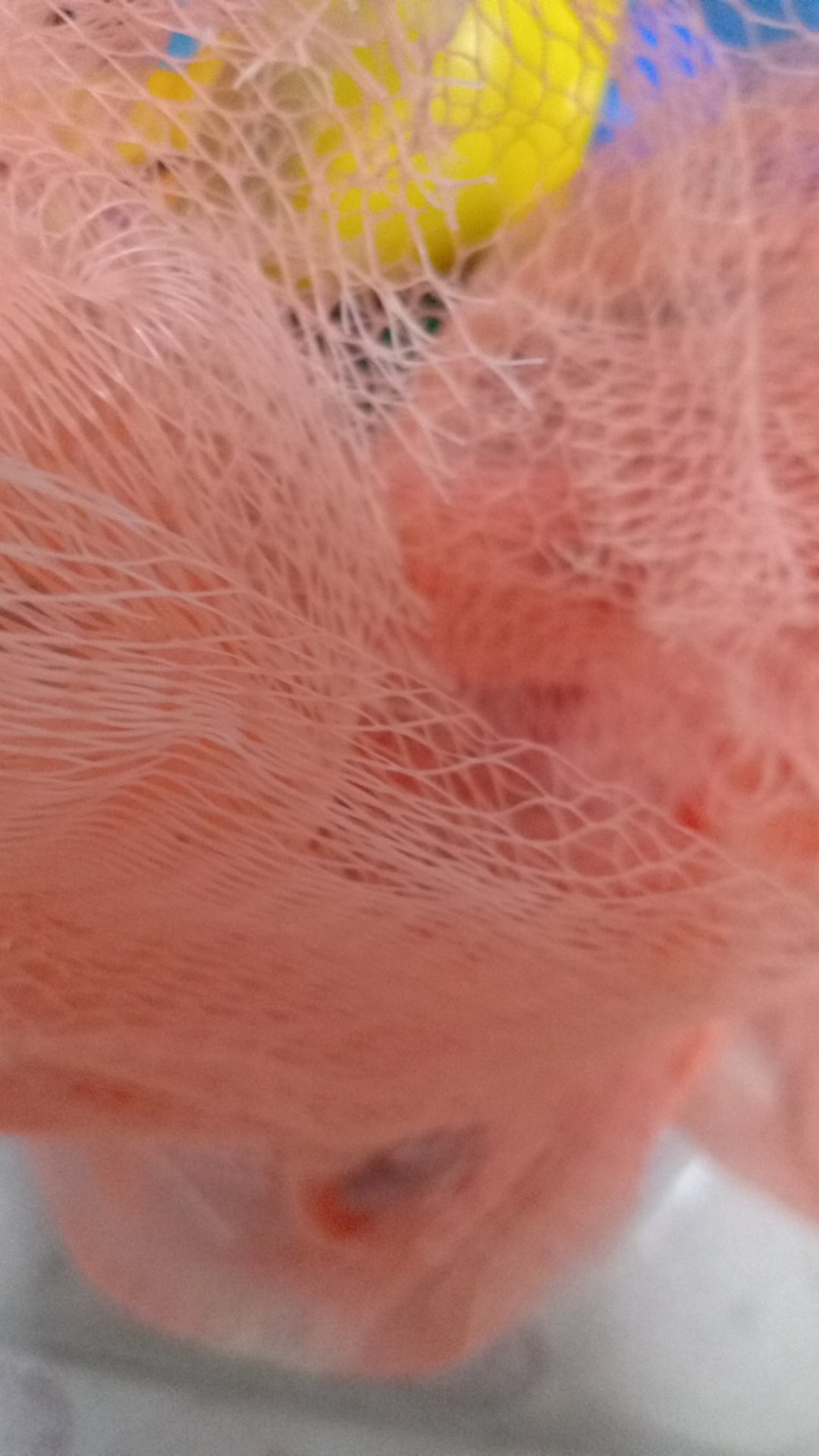 Promo Diskon 50%kelambu Anti Nyamuk Modern Kombinasi 3 Pintu Warna Putih