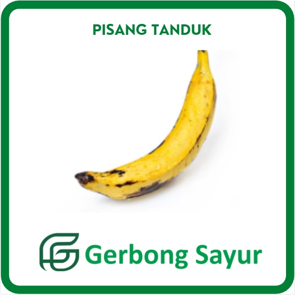 

Buah Pisang Tanduk 1 Pcs Segar