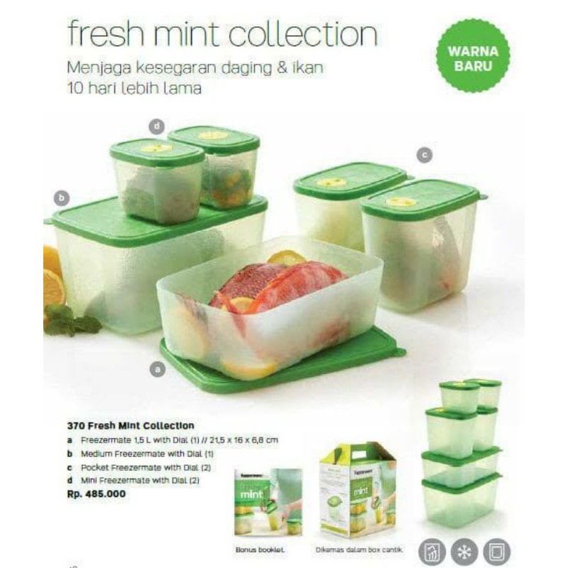 TUPPERWARE FRESH MINT COLLECTION