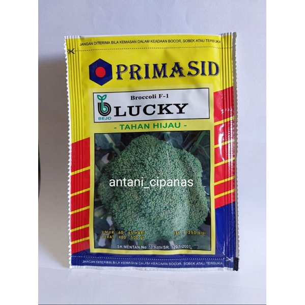 Benih Brokoli Bejo Lucky Primasid 1250Sd