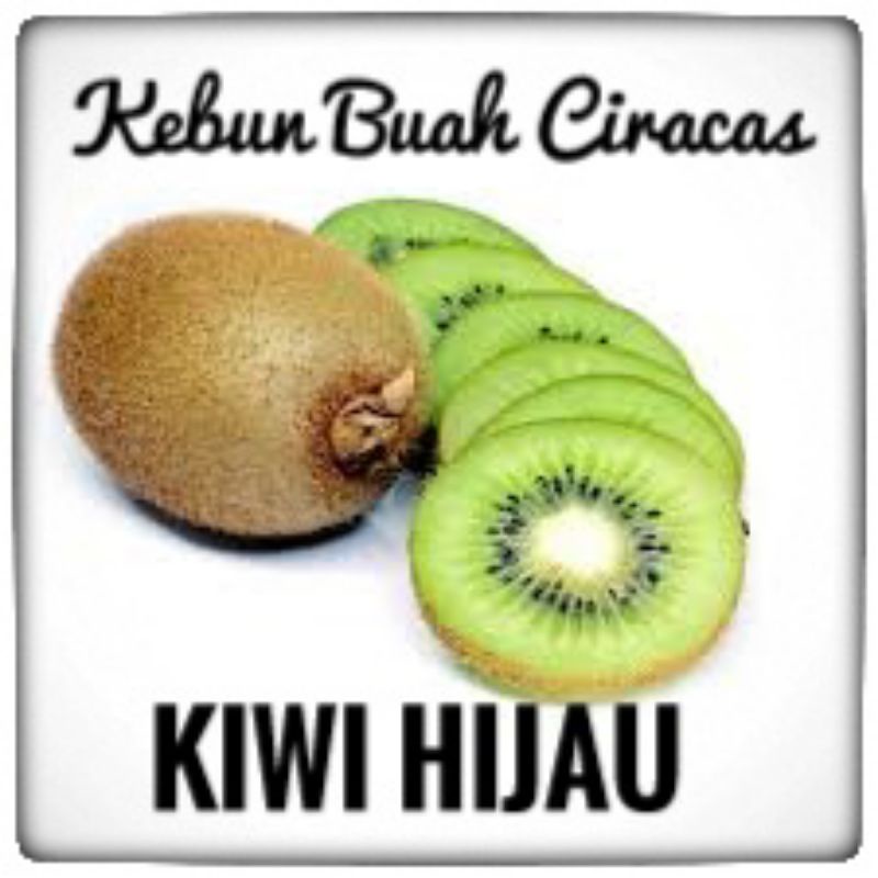 

Kiwi Hijau per kg
