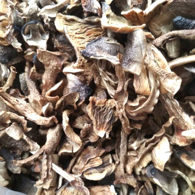 

Jamur sawit kering. 100%ori tampa bahan pengawat