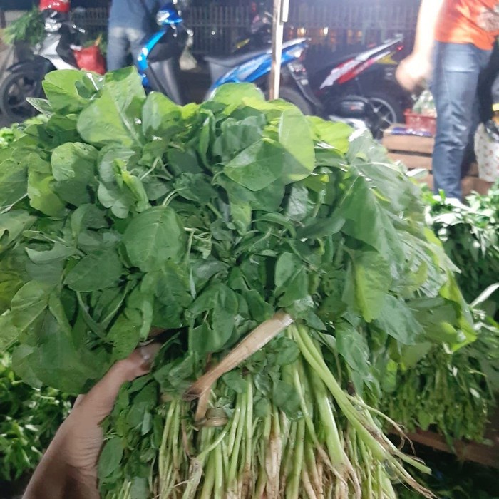 

Sayur Bayem 1 Gabung Besar