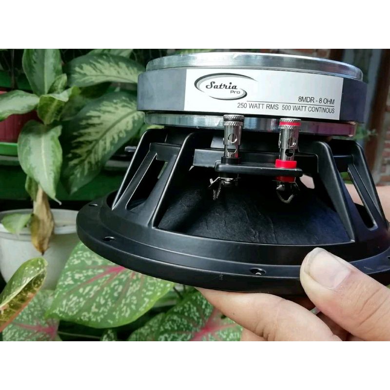 Speaker 8 in satria speaker