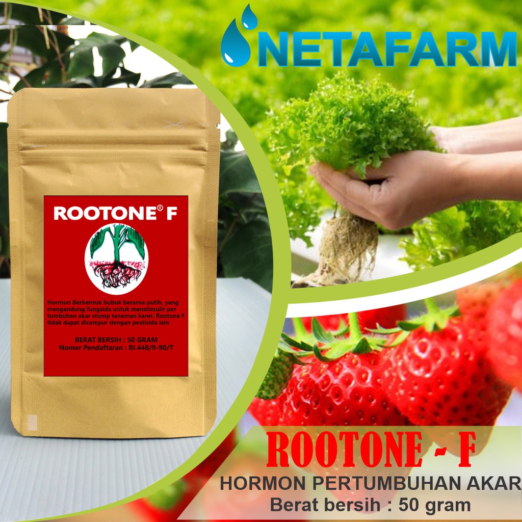 ROOTONE - F Pupuk Hormon Pertumbuhan Akar - Repacking 50gr