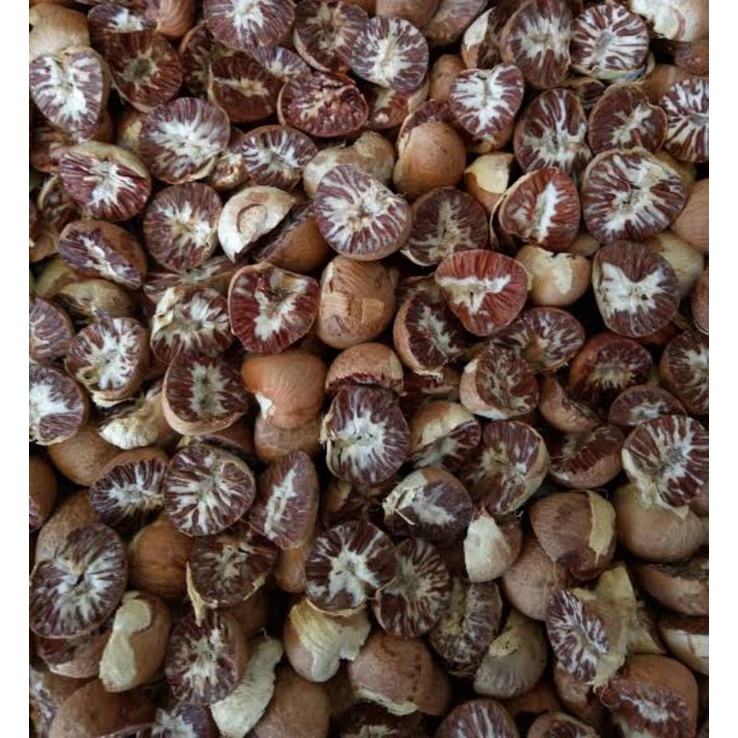 

buah pinang kering /jebug