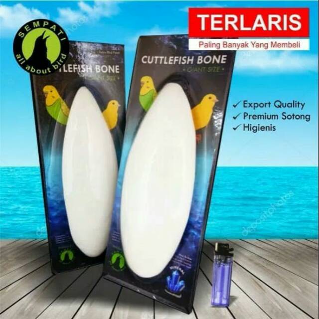 

ASINAN JUMBO TULANG SOTONG CUMI PREMIUM GARAM IODIUM CUTTLEFISH BONE