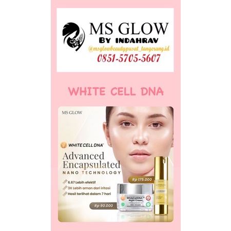 READY WHITE CELL DNA MS GLOW night cream dan Serum