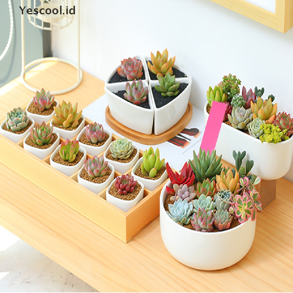 50 Pcs Label Penanda Pot Tanaman Bahan Plastik Untuk Taman