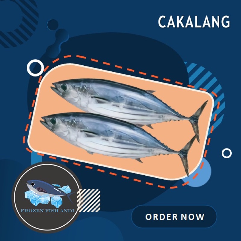 

Ikan cakalang beku dan tongkol lisong