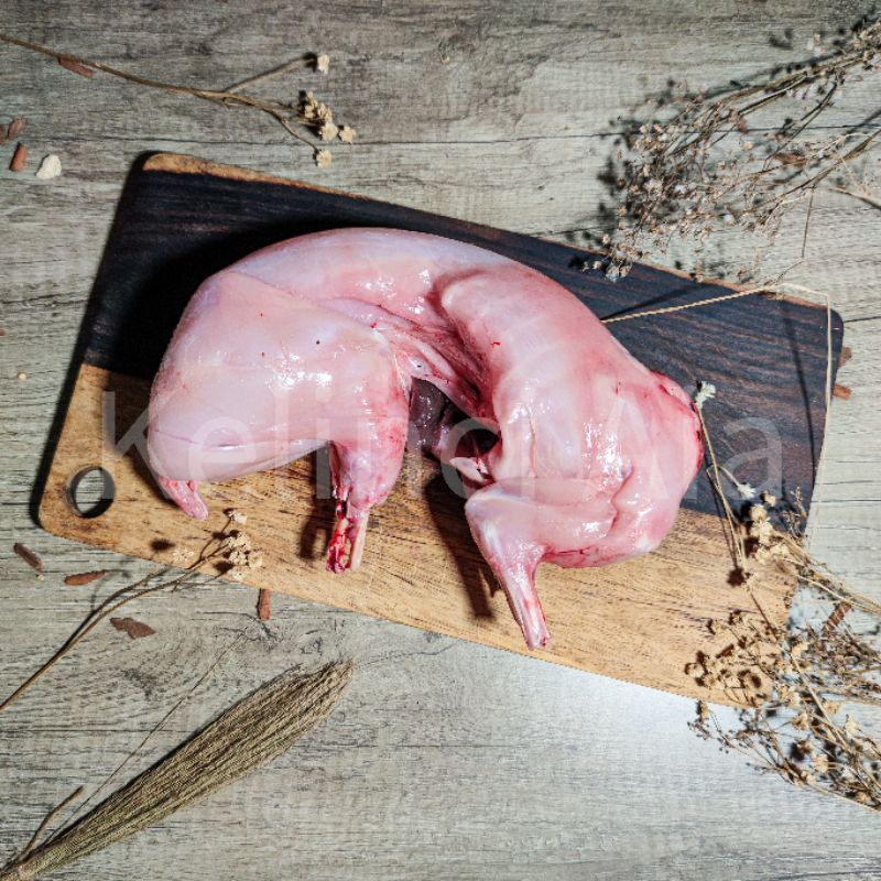 

Daging Kelinci Karkas Grade C (1.0 - 1.2 Kg)