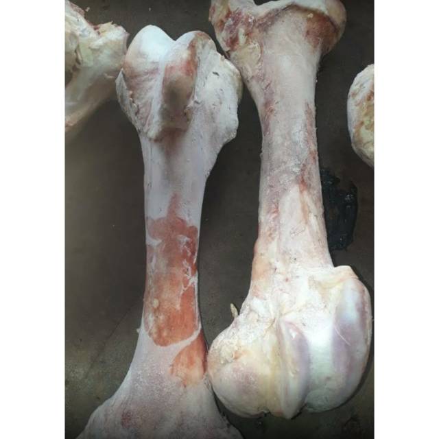 

Tulang sum-sum 1 kg