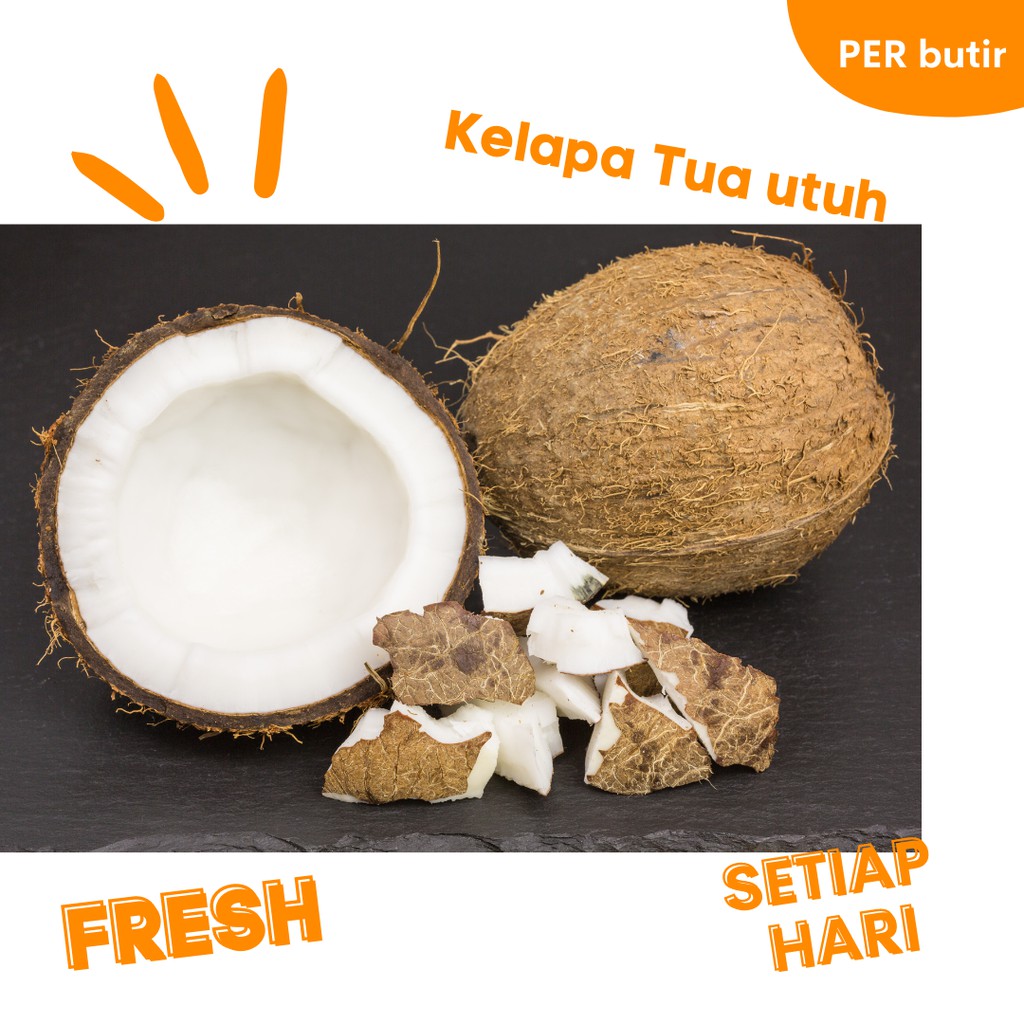 

Sayur Sayuran KELAPA TUA PARUT PER BIJI FRESH SETIAP HARI Sayuran Online Makassar