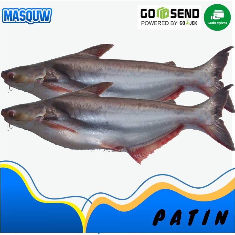 

IKAN PATIN SEAFOOD SEGAR FRESH 1 KG ISI 1-3 MASQUW