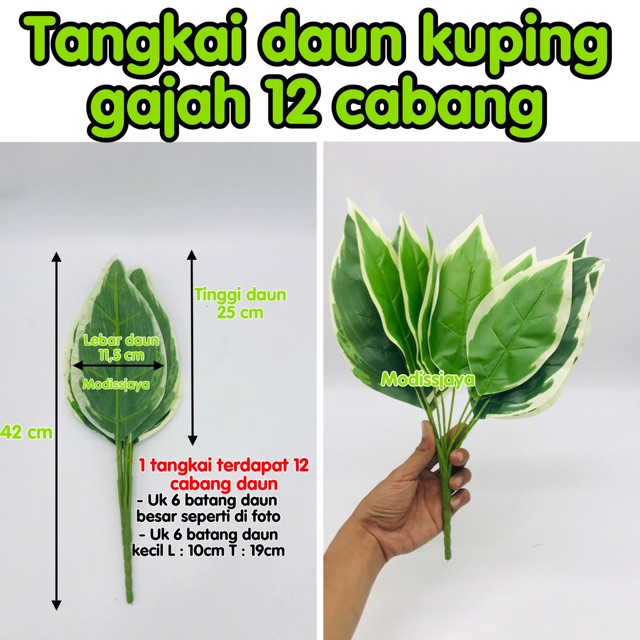 Bunga artificial Tangkai daun kuping gajah 12 cabang