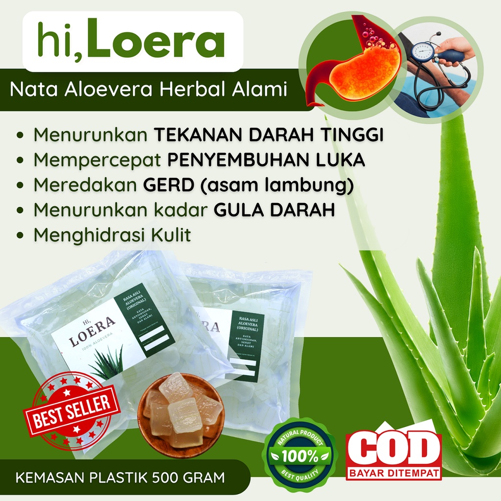 

Nata de Aloevera Aloe Vera Lidah Buaya Kupas Bebas Pengawet dan Pemanis Alami Solusi Masalah Asam Lambung Maag GERD Susah BAB Sembelit 500 gram Kemasan Plastik