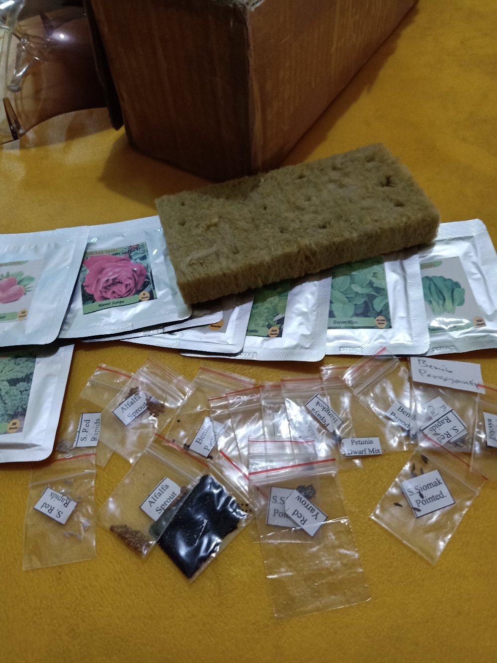 Benih Bibit Biji Strawberry Giant Raksasa Stroberi Strawberi