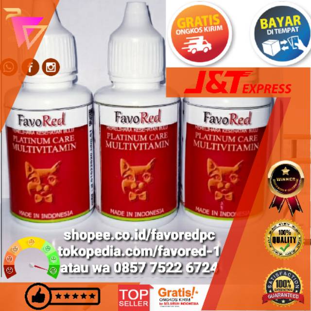 FavoRed Platinum Care Multivitamin suplemen gemuk tambah nafsu makan vitamin penumbuh bulu panjang