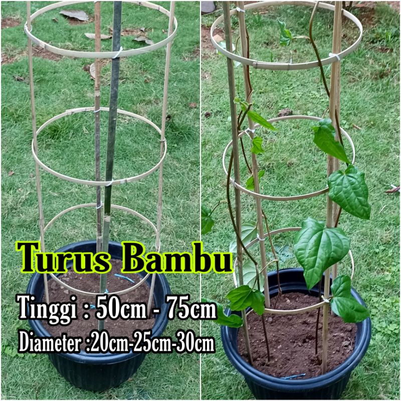 Turus bambu melingkar/Round Obelisk Bambu Rambatan Tanaman lingkaran Penyangga tanaman