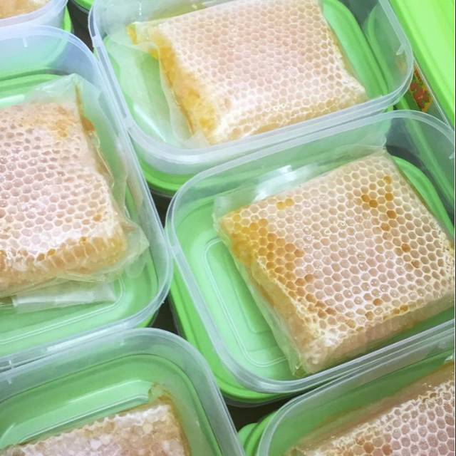 

SARANG MADU MELIEFERA 100% ORIGINAL DARI LEBAH LANGSUNG