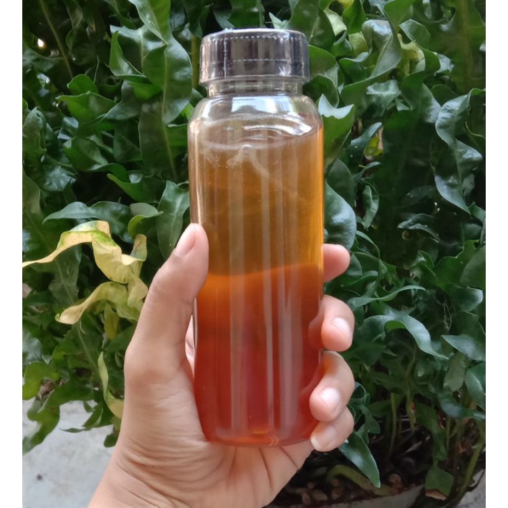 

MADU MURNI 250ML