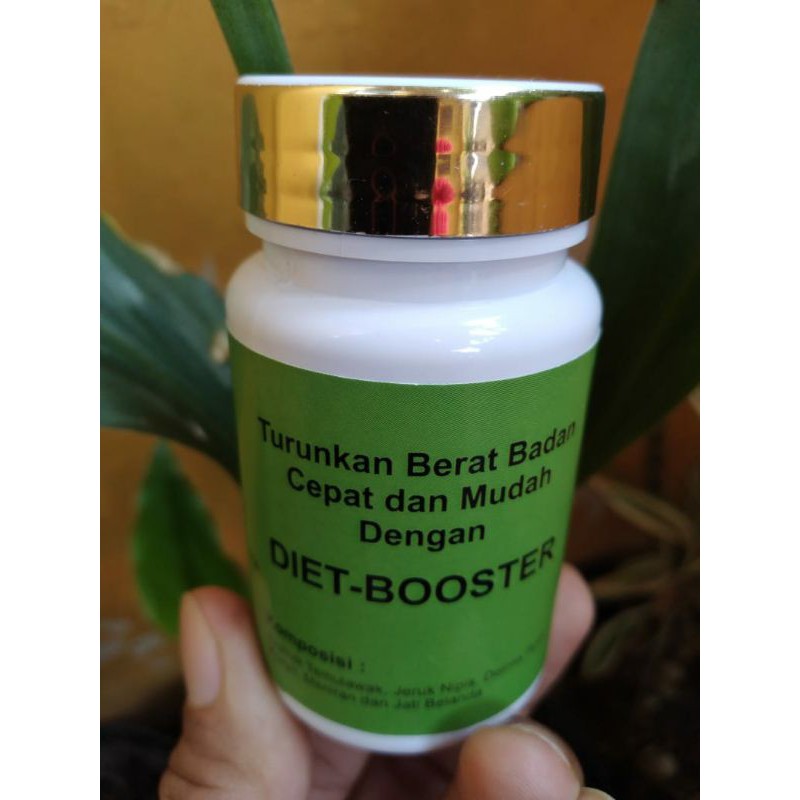 DietBooster