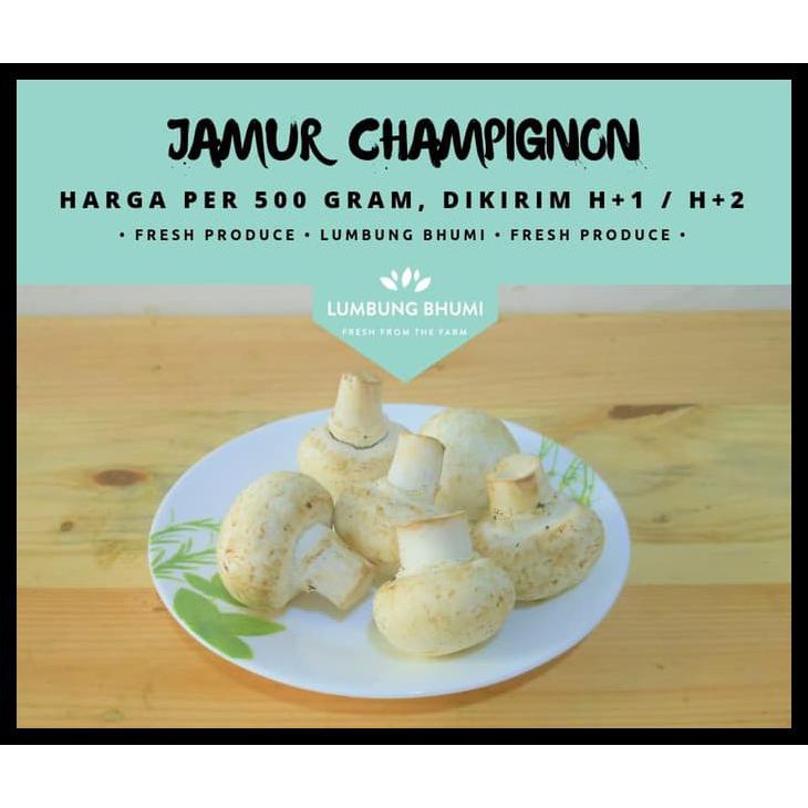 

HOT SALE Jamur Champignon / Kancing ( Sayur - Sayuran Curah ) terjamin