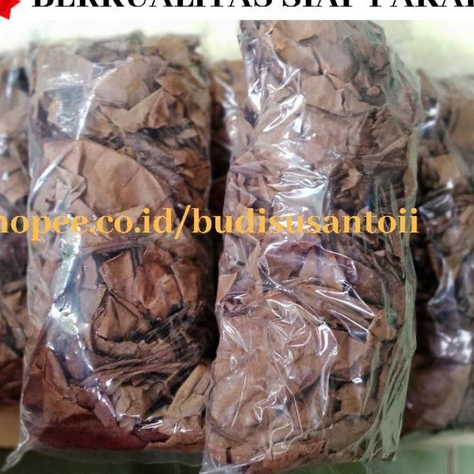 

SUPER PROMO DAUN KETAPANG LAUT OLAHAN 1 SIAP PAKAI BERKUALITAS